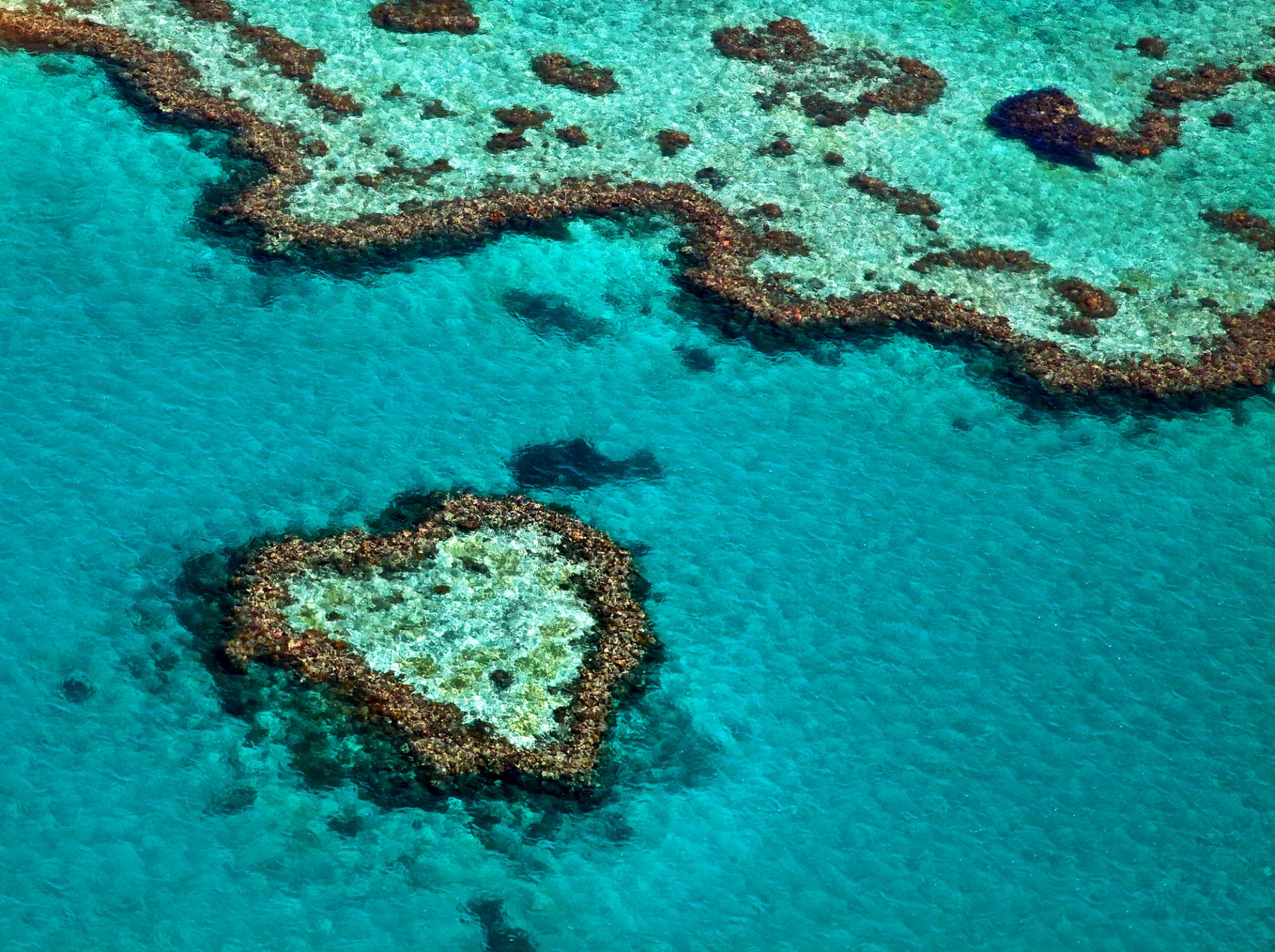 Great barrier reef
